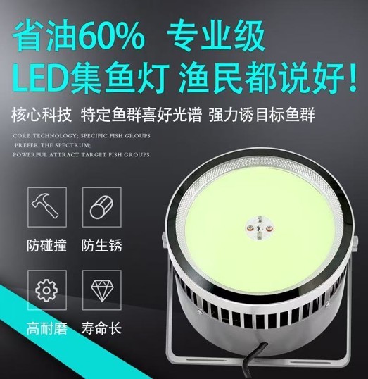河源集鱼灯